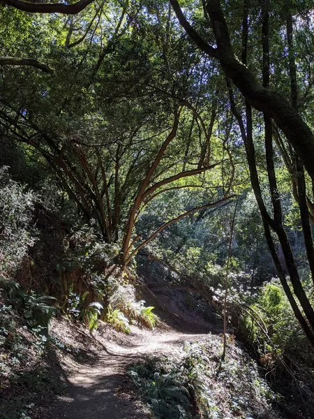 outdoor activities Huckleberry Botanic Regional Preserve