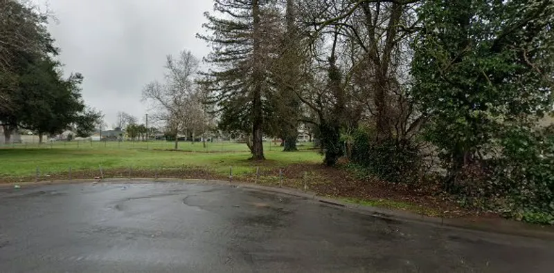 Del Paso Park Playground