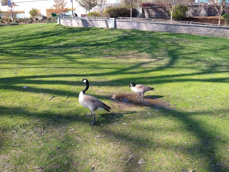 playgrounds River Walk Park