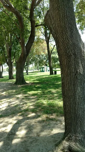 playgrounds Shady Tree Playground