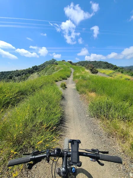 Kid-friendly bike trails Mandeville Canyon Park