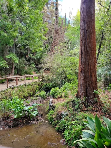 Kid-friendly bike trails Fern Dell Nature Trail