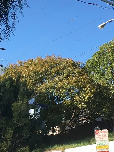 Elysian Park Trail Entrance