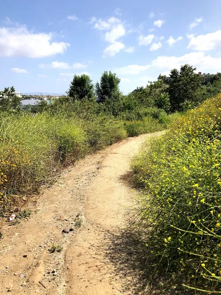 Kid-friendly bike trails Bluff Creek Trail