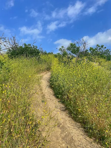 Kid-friendly bike trails Ernest E. Debs Regional Park