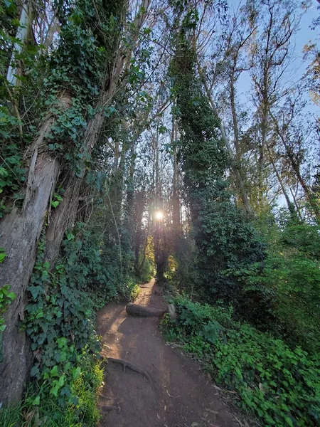 Historic Trail Trailhead