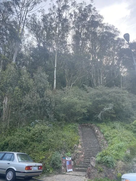 Kid-friendly bike trails Mount Davidson Hiking Path Entrance