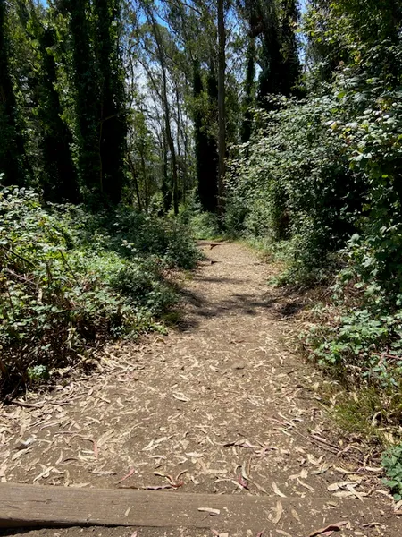 Mount Davidson Paved Path