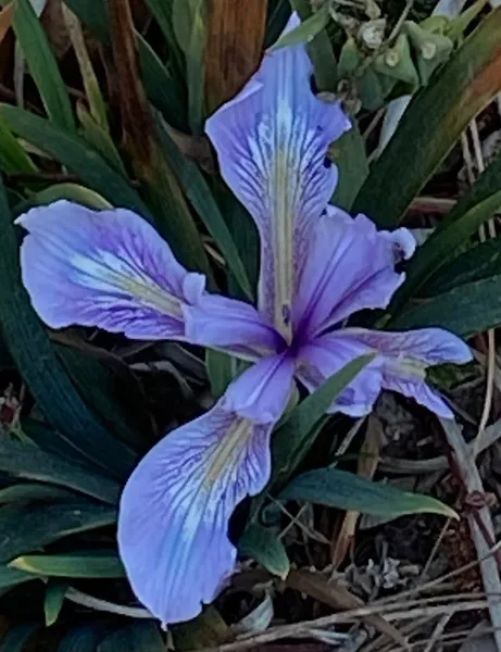 Glen Park Greenway