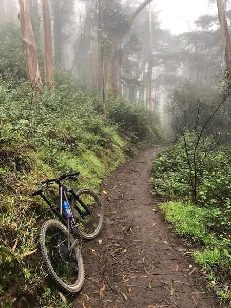 Kid-friendly bike trails Mount Sutro Open Space Reserve