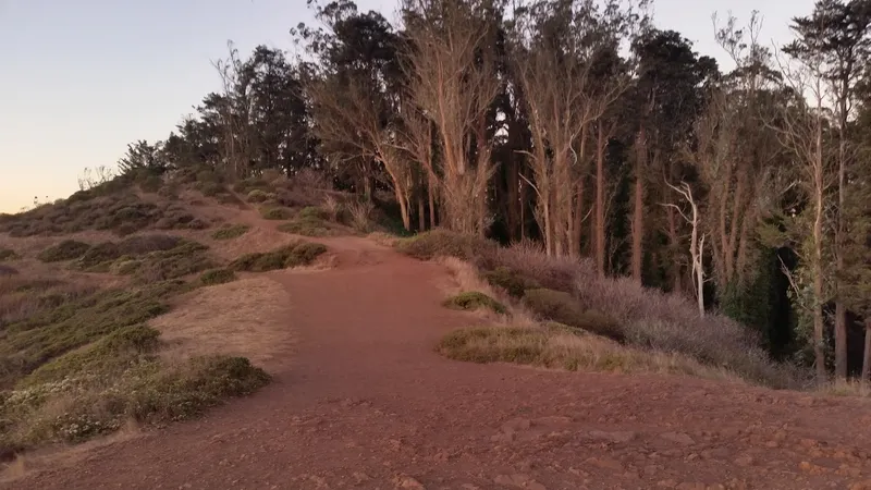 Kid-friendly bike trails Mt. Davidson