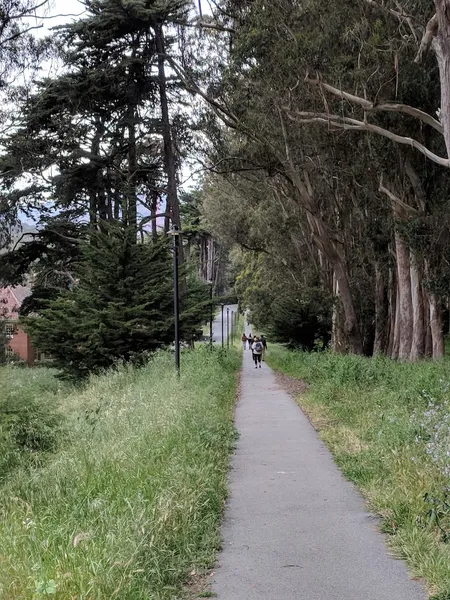 Kid-friendly bike trails Lovers’ Lane at the Presidio