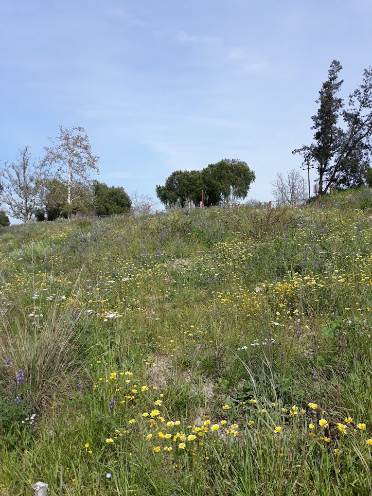 Best Of 26 Kid-friendly Bike Trails In Long Beach