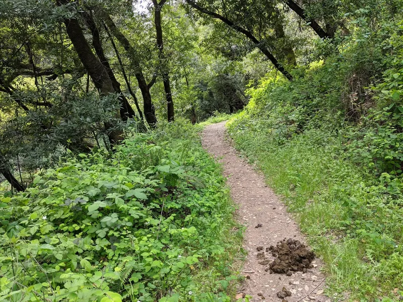 Kid-friendly bike trails Dunn Trail