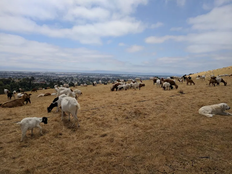 Kid-friendly bike trails King Estate Open Space Park