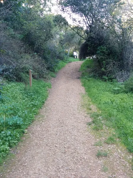 Kid-friendly bike trails Leona Canyon Trail Head