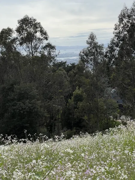 Kid-friendly bike trails Castle Park Access, Joaquin-Miller Park