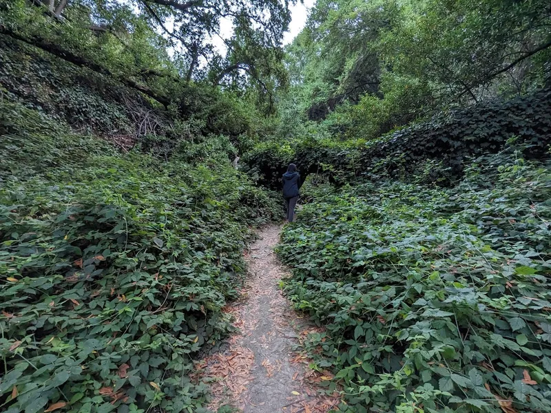 Kid-friendly bike trails Benevides Trailhead