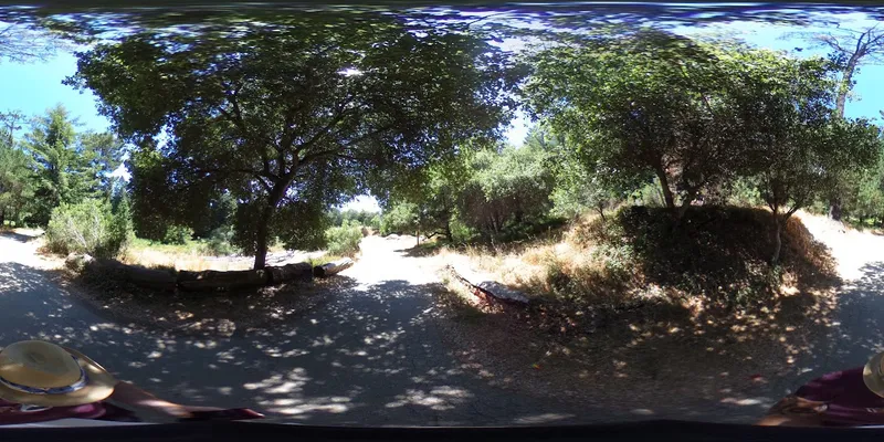 Kid-friendly bike trails Fern Ravine