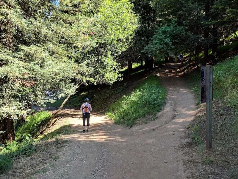 Kid-friendly bike trails Temescal Regional Recreation Area