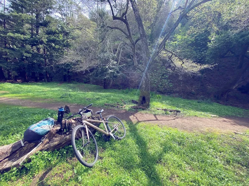 Kid-friendly bike trails Leona Heights Park