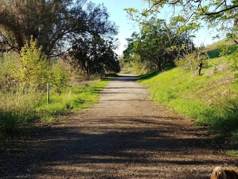 kid-friendly hiking trails Ascot Hills Park