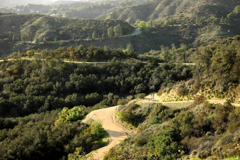 kid-friendly hiking trails Firebreak Trail to Griffith Observatory