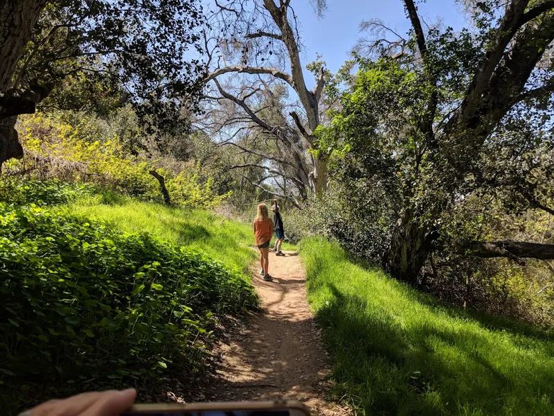 kid-friendly hiking trails Marian Bear Memorial Park