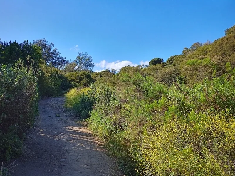 kid-friendly hiking trails Switzer Open Space