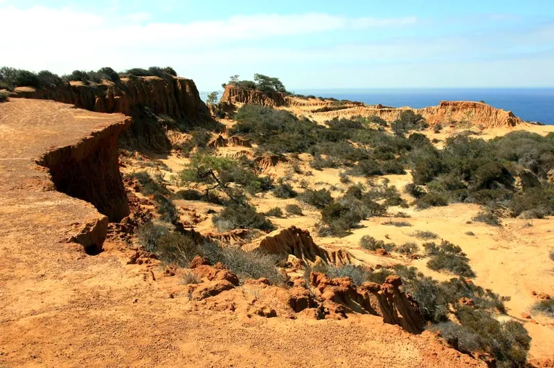 Torrey Pines State Natural Reserve