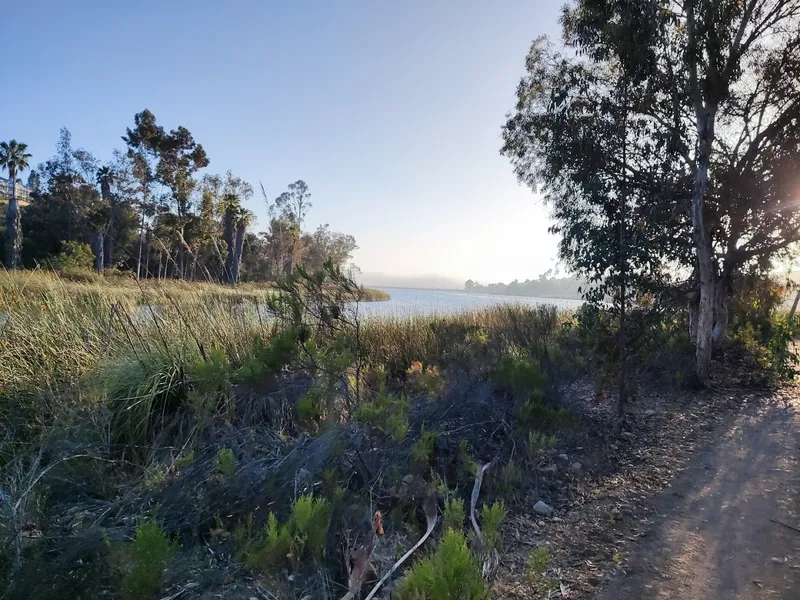 kid-friendly hiking trails Lake Miramar Trail