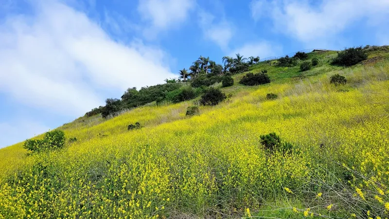 kid-friendly hiking trails Rose Canyon Open Space Park