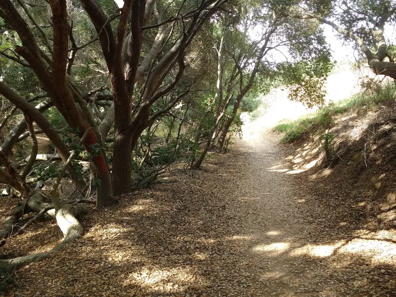 kid-friendly hiking trails Tecolote Canyon Natural Park and Nature Center