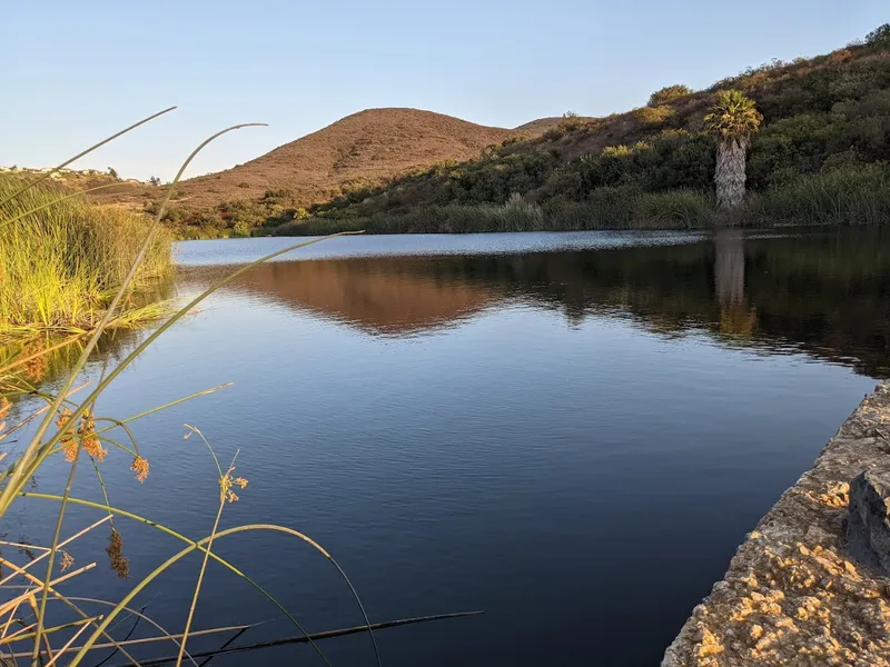 kid-friendly hiking trails Black Mountain Open Space Park