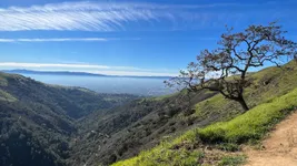 Best of 31 kid-friendly hiking trails in San Jose