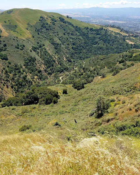 kid-friendly hiking trails Boccardo Loop Trail