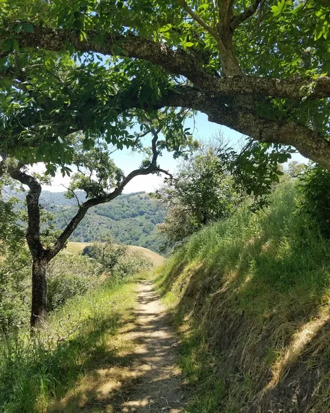 Boccardo Loop Trail
