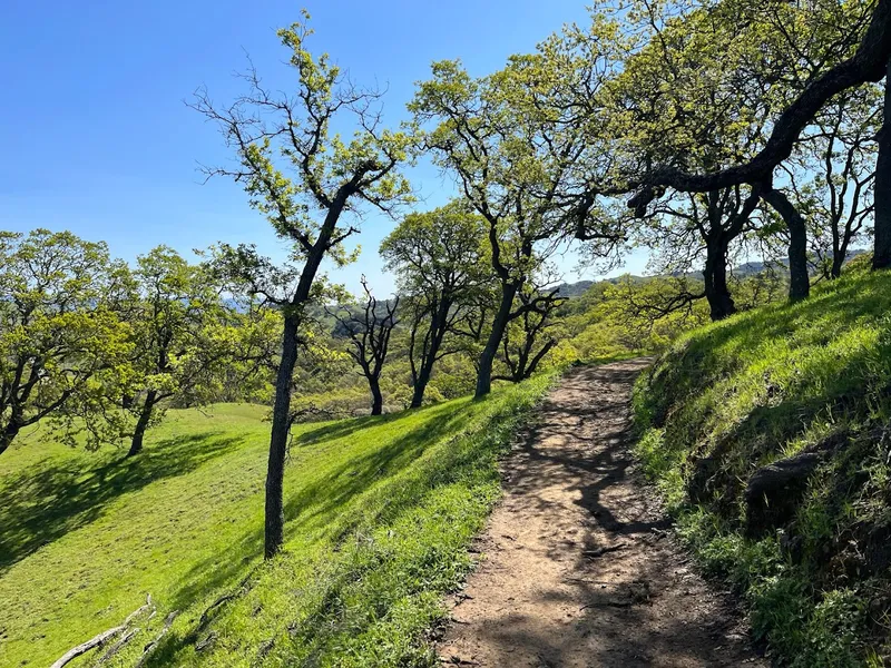 kid-friendly hiking trails Rancho San Vicente Open Space Preserve