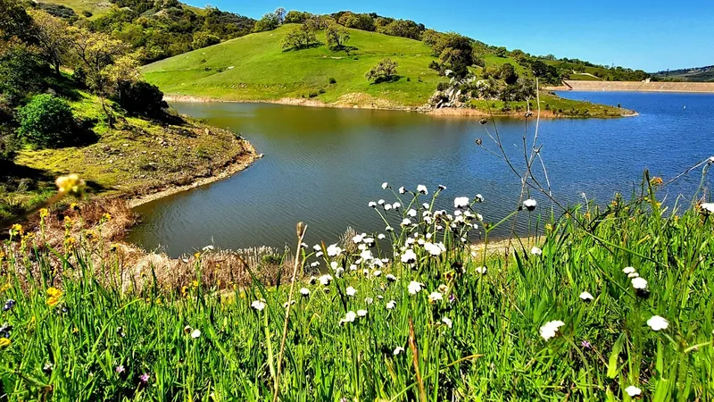 kid-friendly hiking trails Calero County Park