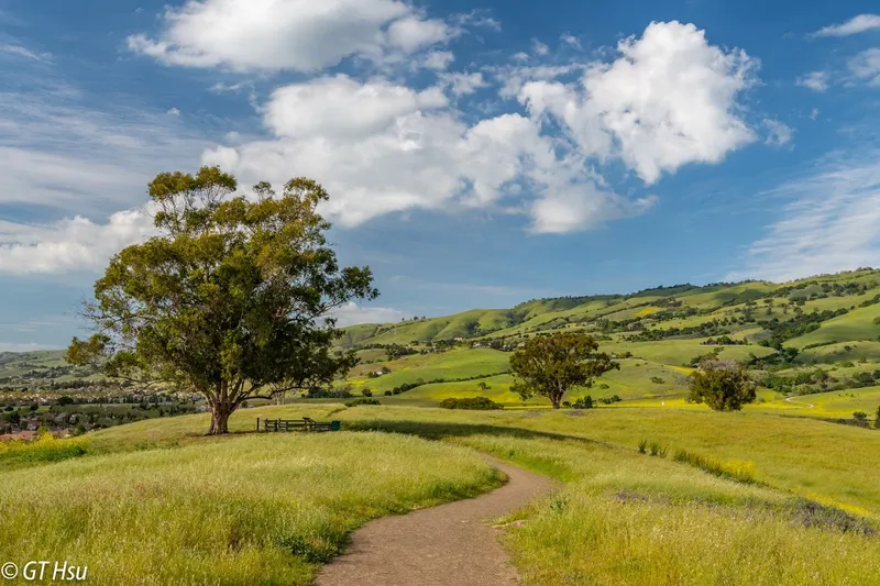 kid-friendly hiking trails Montgomery Hill Park