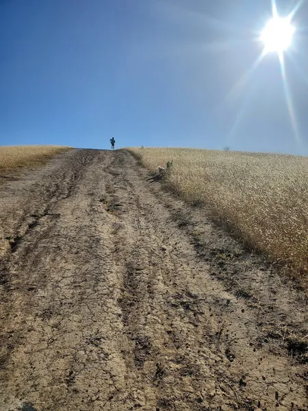 Groesbeck Hill Park