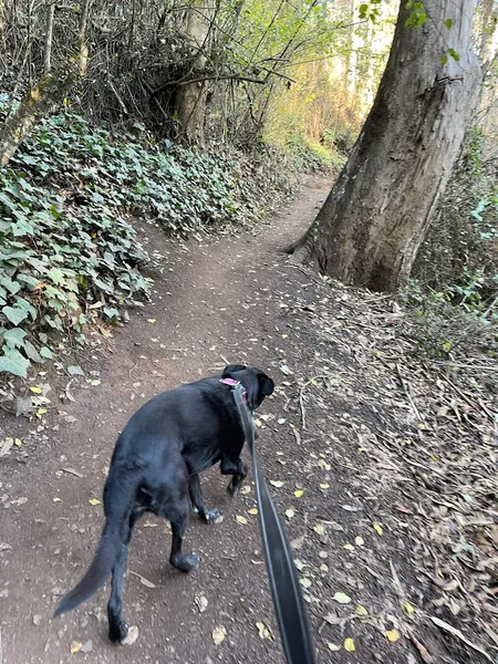 Historic Trail Trailhead