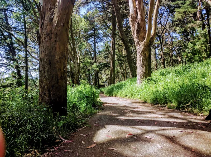 kid-friendly hiking trails John McLaren Park