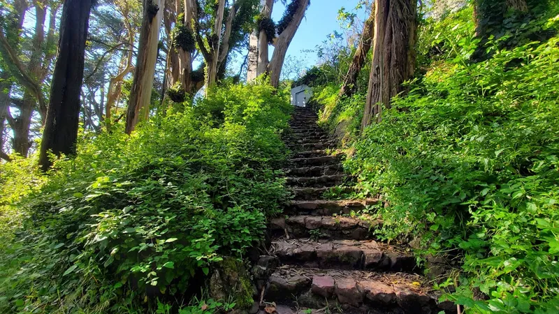 kid-friendly hiking trails Mt. Davidson