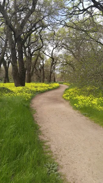 kid-friendly hiking trails Ray and Judy Tretheway Oak Preserve