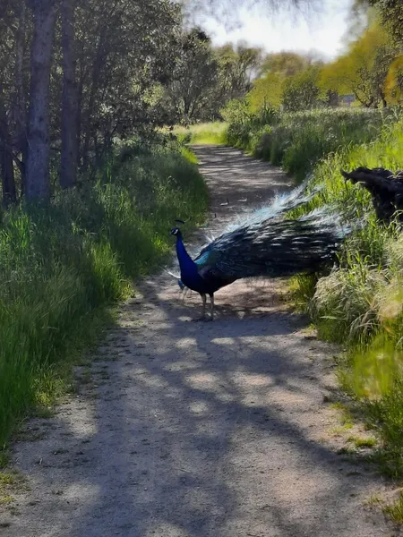 kid-friendly hiking trails Del Paso Park