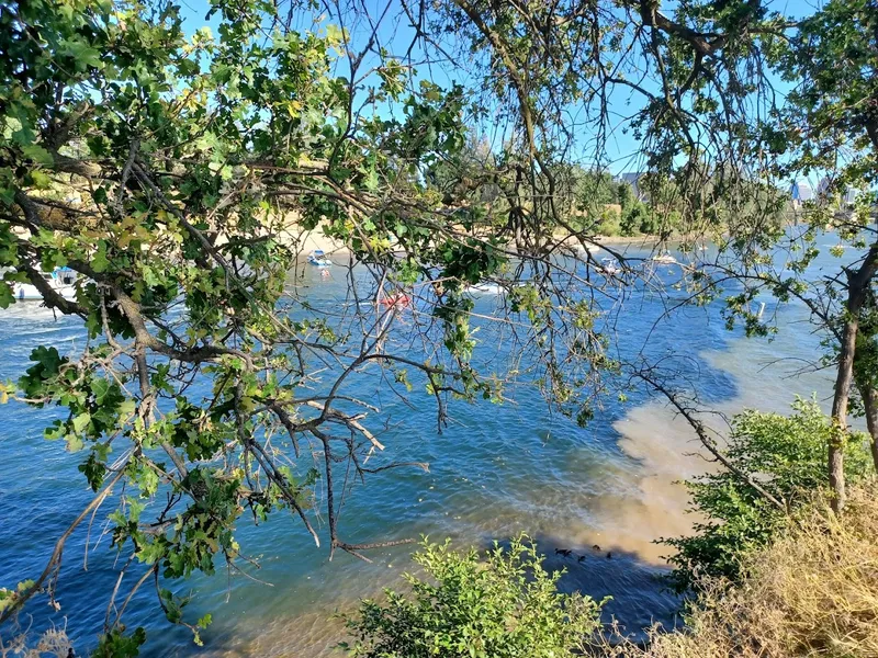 kid-friendly hiking trails American River Parkway Trailhead