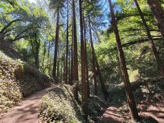 Best of 28 kid-friendly hiking trails in Oakland