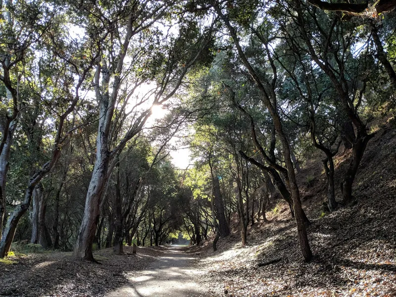 kid-friendly hiking trails Shepherd Canyon Park