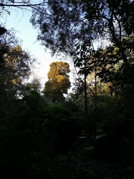 El Centro Trailhead (Dimond Canyon)